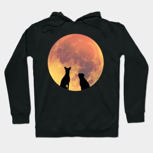 Apathecary's Moon Dogs Hoodie